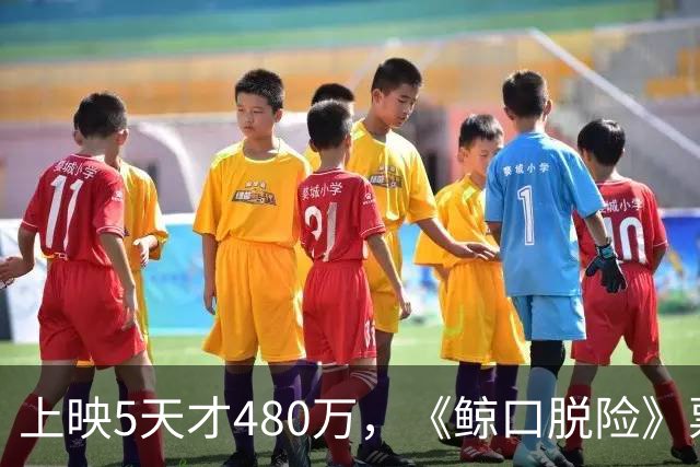 上映5天才480万，《鲸口脱险》票房扑街，苦茶翻车，片方亏到怀疑人生