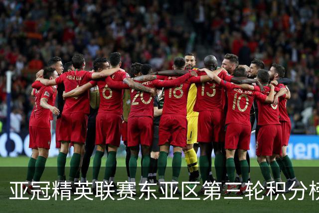 亚冠精英联赛东亚区第三轮积分榜：国安不败位列第五，海港第八
