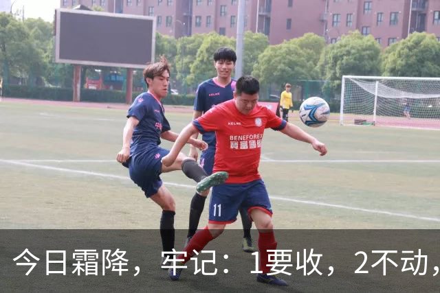 今日霜降，牢记：1要收，2不动，3不通，4要吃，养好身体，安稳送秋，温暖入冬