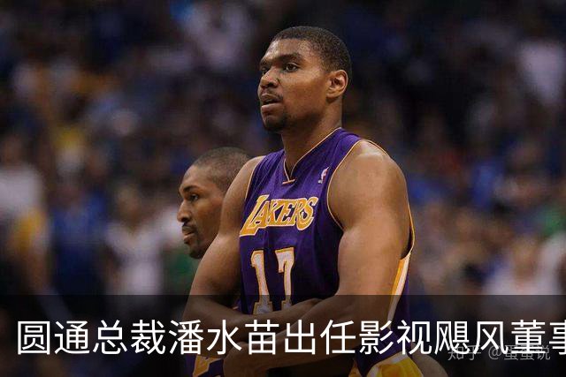 圆通总裁潘水苗出任影视飓风董事长，系Tim父亲；Tim仍为最大股东，持股比例51.77%！影视飓风在多平台拥有千万级粉丝，年营收早已过亿