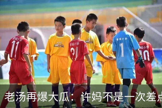 老汤再爆大瓜：许妈不是一次差点儿被带走
