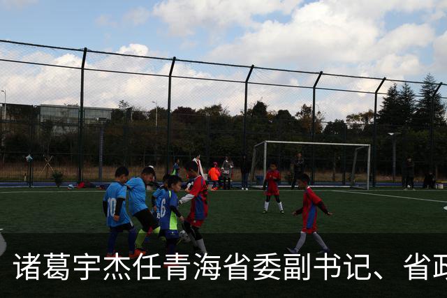 诸葛宇杰任青海省委副书记、省政府党组书记