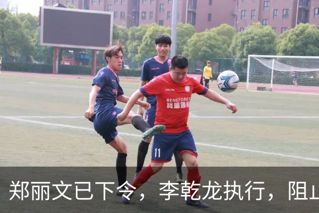 郑丽文已下令，李乾龙执行，阻止连署开除赵少康，蓝营避免大内斗