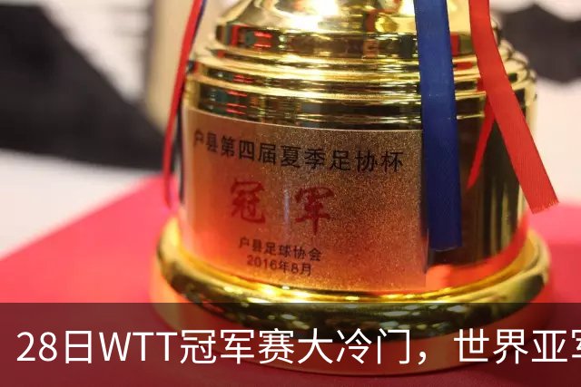 28日WTT冠军赛大冷门，世界亚军遭遇一轮游，王艺迪渔翁得利