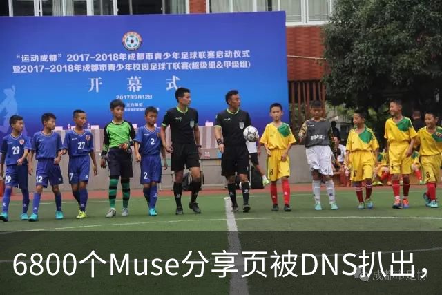 6800个Muse分享页被DNS扒出，Meta紧急暂停